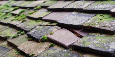 Llangoed roof repair costs